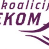 Osnivanje REKOM-a indikator napretka u procesu pomirenja 5