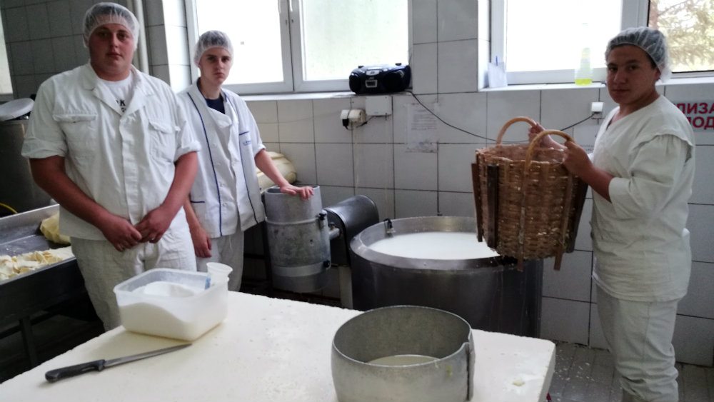 Pirotski kačkavalj - robna marka za brendirani specijalitet 1