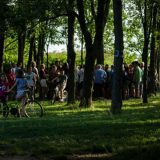 Ne daju ni jedno stablo 2