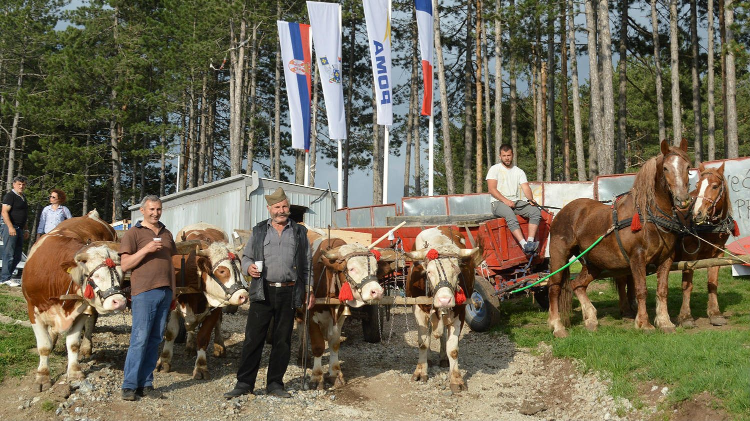 Slavlje i satira na Zlatiboru 1