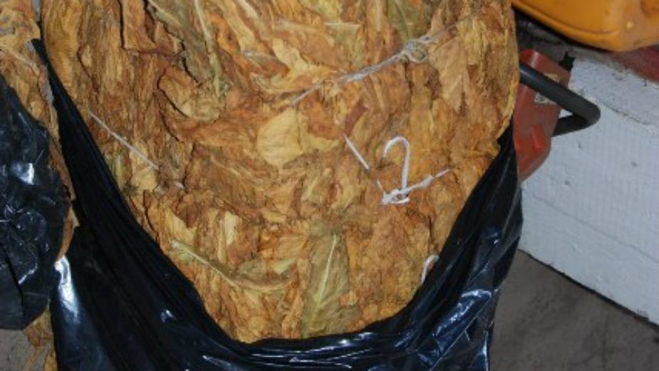 Policija zaplenila duvan u vrednosti od 900.000 dinara 1