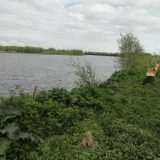 Arhangeljsk (3): Asocijacije u jednom arhipelagu 6