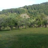 Dodinci: Neobične seoske priče 5