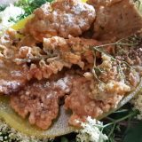 Pohovani cvetovi bagrema i zove (recept) 7