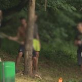 Seča Košutnjaka od nemarnih izletnika 8