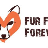 Marš protiv krzna sutra u Beogradu 9