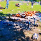 Muškarci iz BiH pekli jaganjce u berlinskom parku, došla policija 10