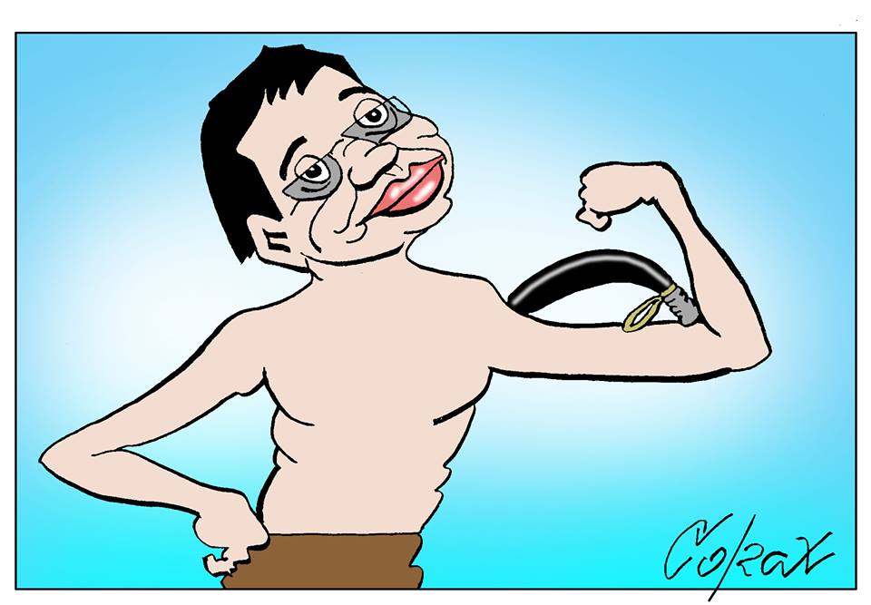 Corax 12