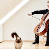 Vodeći svetski čelista sa Beogradskom filharmonijom 8