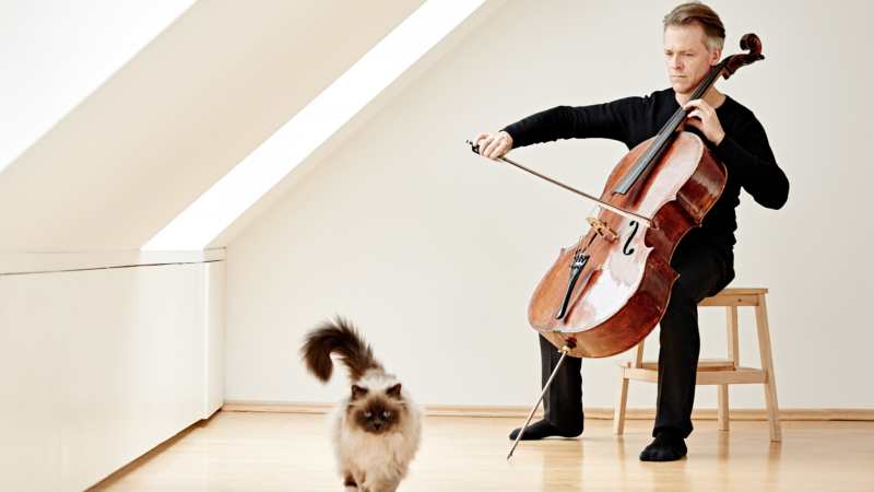 Vodeći svetski čelista sa Beogradskom filharmonijom 1