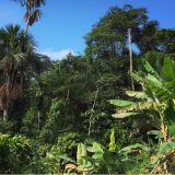 Netaknuta priroda 14