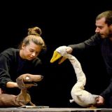 Deveti Međunarodni pozorišni festival za decu ulazi ulazi u završnicu 5