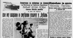 Kako je nestanak fudbalera podelio jugoslovensku javnost? 3 Kako je nestanak fudbalera podelio jugoslovensku javnost? 3