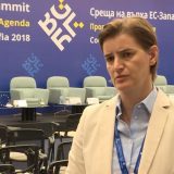 Brnabić: Očekujemo nastavak ekonomske saradnje sa Ukrajinom 3