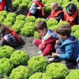 Više od 3.000 "malih poljoprivrednika”(FOTO) 13