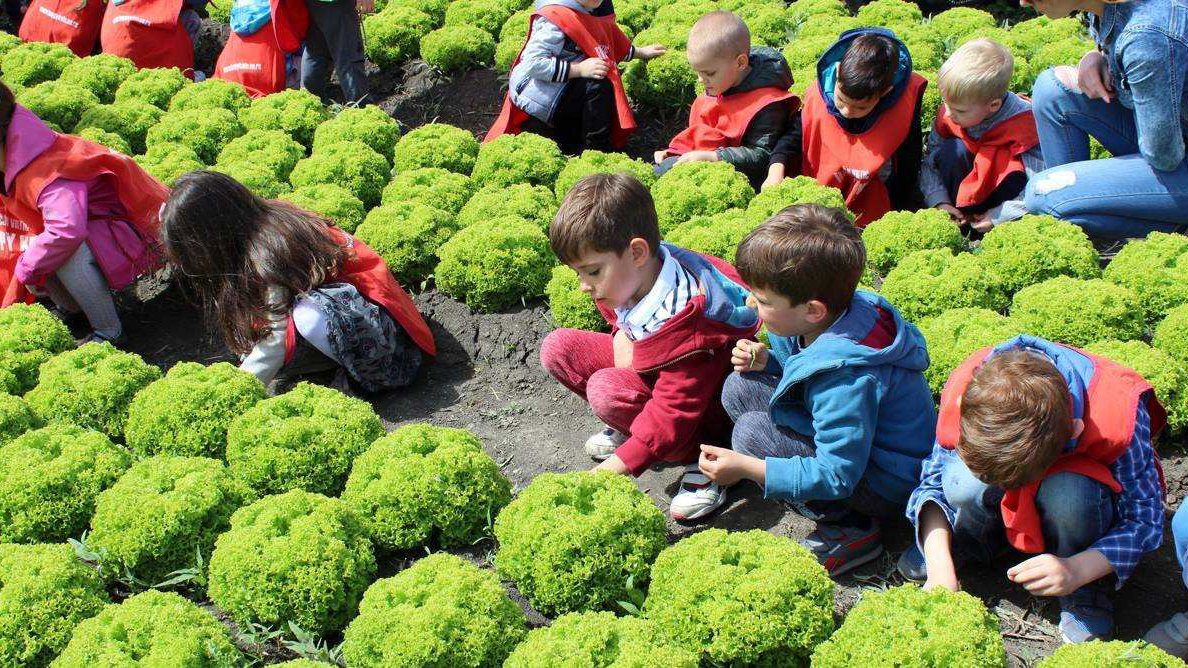 Više od 3.000 "malih poljoprivrednika”(FOTO) 1