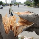 Najmanje 78 ljudi stradalo u peščanoj oluji u Indiji 5