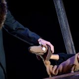 “Kaštanka” u Zaječaru 15