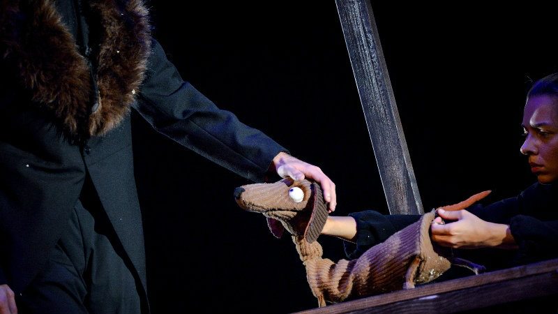 “Kaštanka” u Zaječaru 1