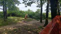 Posečeni Borići na Petlovom brdu, jedna devojka uhapšena 2