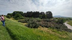 Posečeni Borići na Petlovom brdu, jedna devojka uhapšena 3