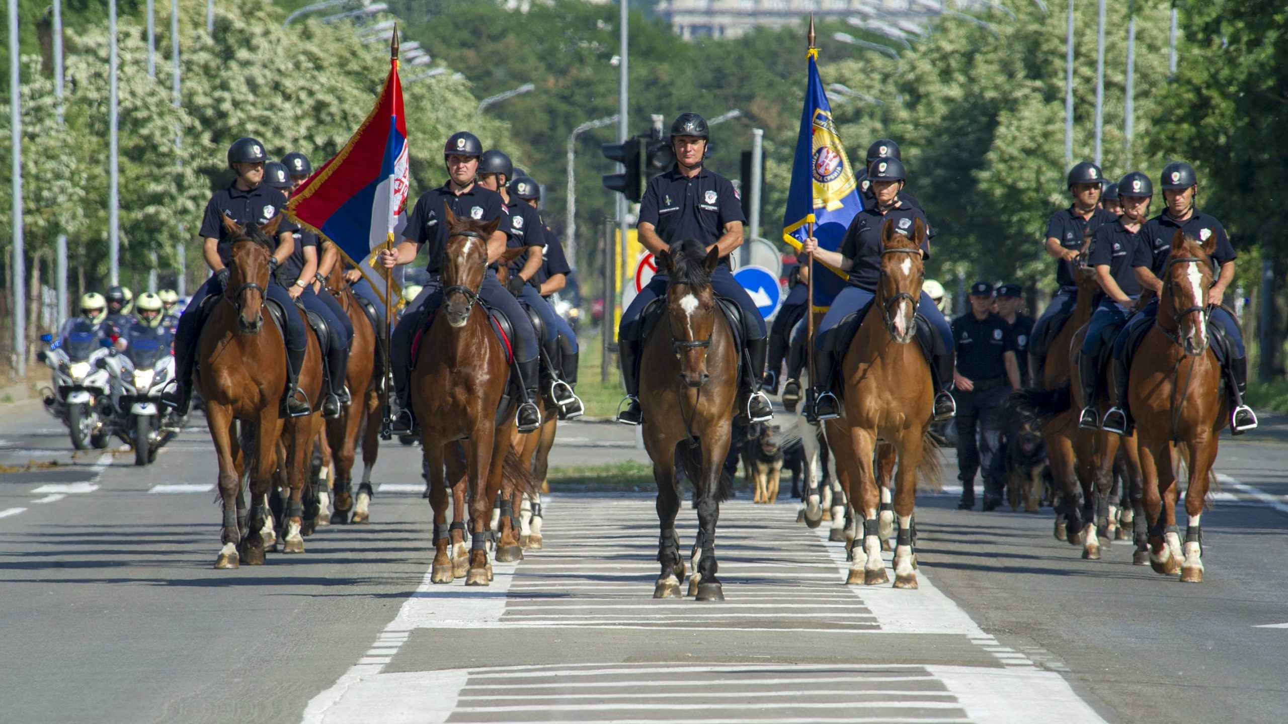 Završne pripreme pred sutrašnji Dan MUP-a 1