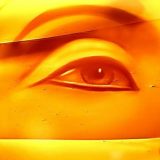 Dvostruki debi u "Aidi" 2