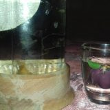 Brendiranje Šumadijske šljivovice 8