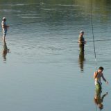 Dozvole za ribolovce po ceni od 6.000 dinara 10