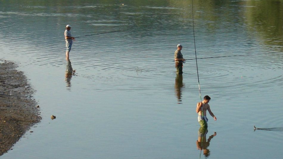 Dozvole za ribolovce po ceni od 6.000 dinara 1