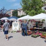 Počeli Smederevski dani cveća 11