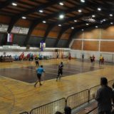 Festival sporta u Kostolcu 11