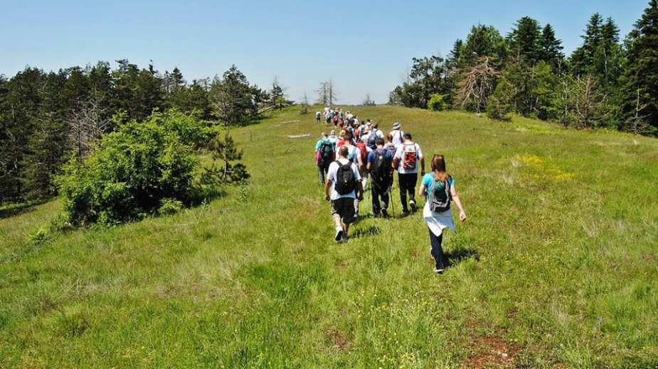 Tijanin pohod na Divčibare 1