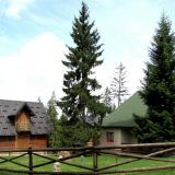 "Panorama" rasprodata do jeseni 14