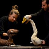 Čehovljeva “Kaštanka” na dečjem festivalu u Zaječaru 6