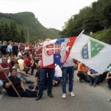 Dosad otkupljena tek svaka četvrta malina u Srbiji 6