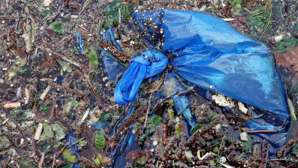 Dan zaštite životne sredine: Kesa ili ceger 2 Plastična kesa na zemlji