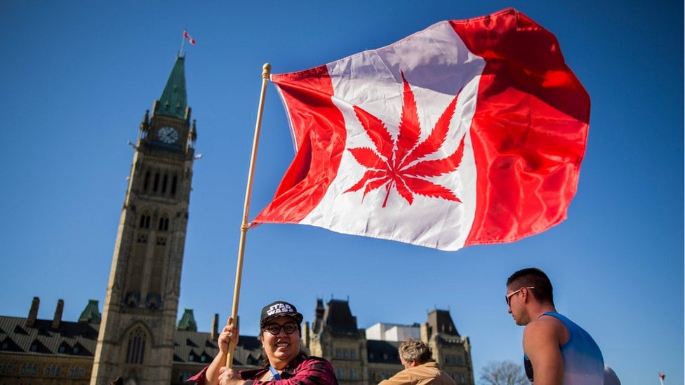 Jedan Kanađanka maše zastavom sa listom marihuane umesto hrastovog
