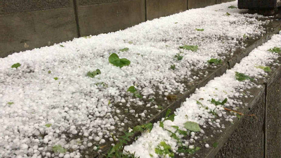 Rod će biti dobar uprkos kiši i gradu 1