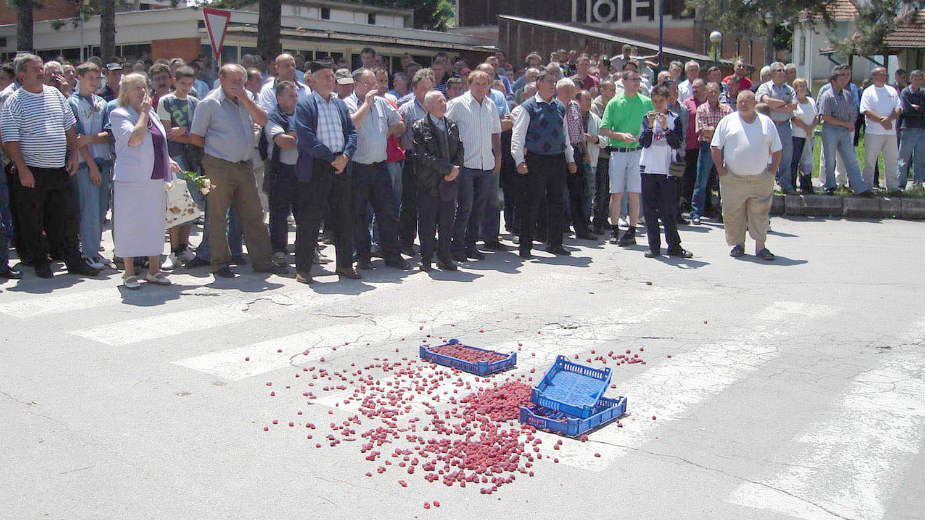 Malinari: Ostavljen prostor za povećanje cena 1 Malinari: Ostavljen prostor za povećanje cena 1