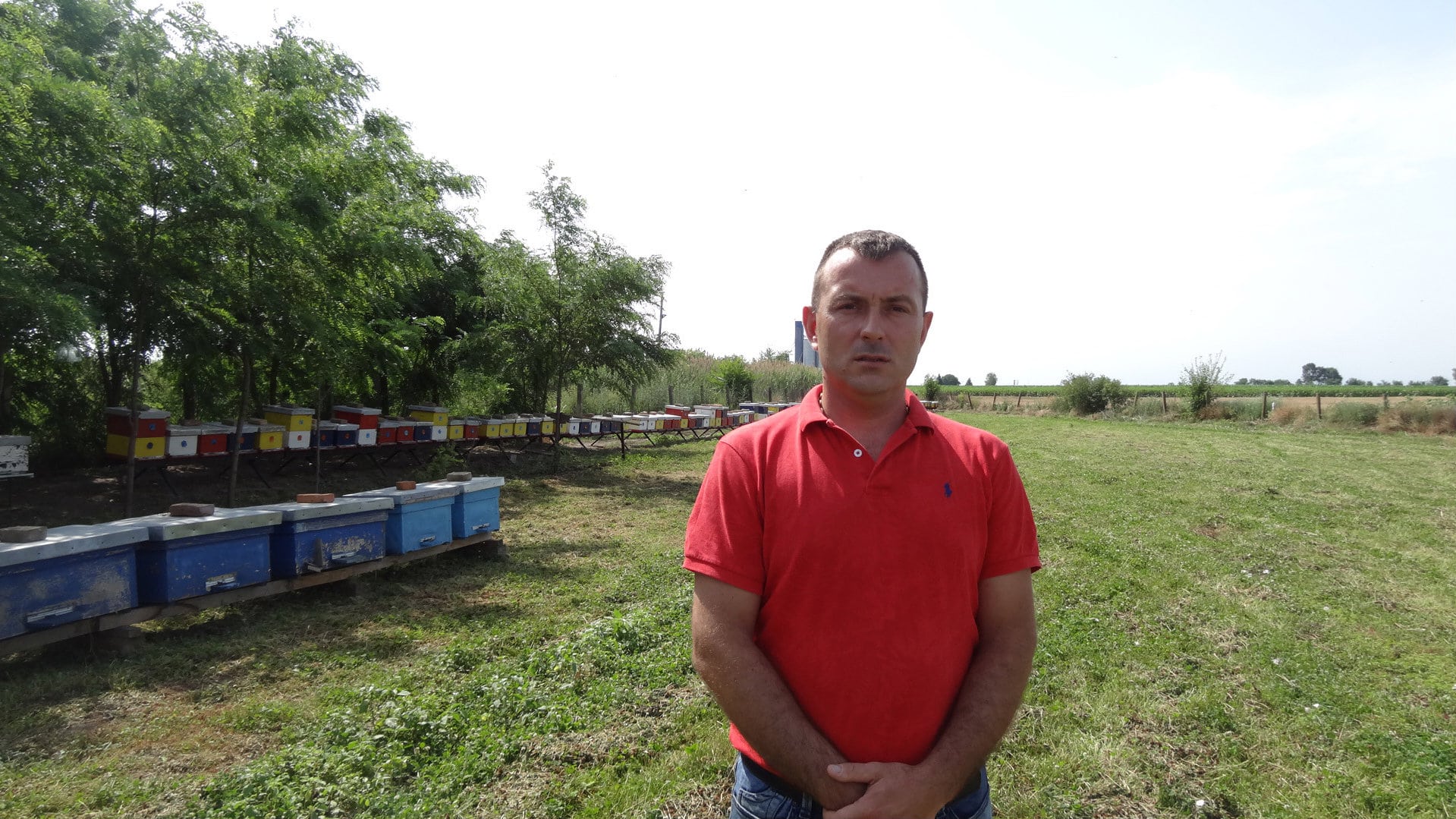 Po 100.000 dinara za jačanje pčelinjaka 1