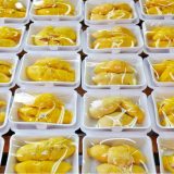 Singapur (3): Zabranjeno voće u metrou 7