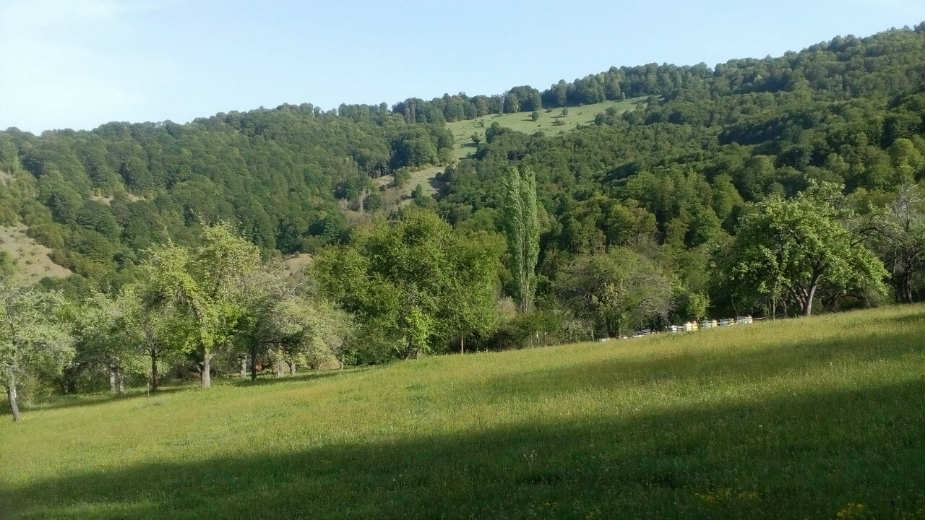 Kozji Dol: Selo u planini 1 Kozji Dol: Selo u planini 1