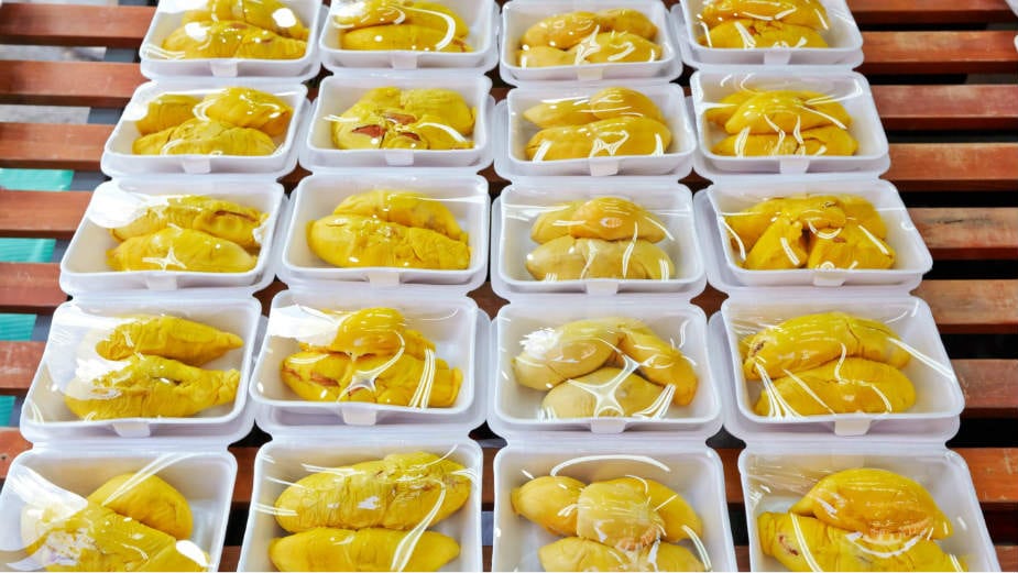 Singapur (3): Zabranjeno voće u metrou 1