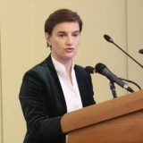 Brnabić i Šarčević: Niko nije jači od države 10