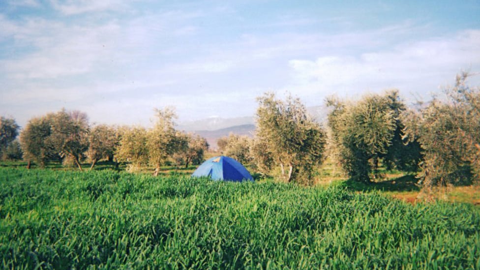 kampovanje u maslinjaku