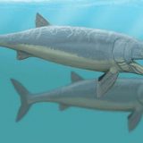 Riba kojoj nema ravne 5