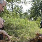 Tragom dinosaurusa 12