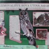 Kikinda - svetska prestonica sova 7