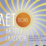 Manifestacija "Leto u vrtu galerija" i ove godine u Novom Sadu 6